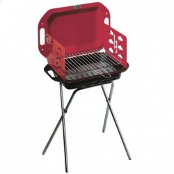 Grill on charcoal 2