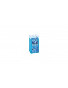 Container for ice-cold box